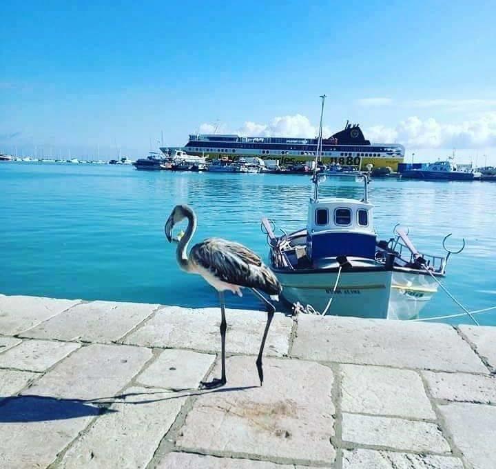 Memories Apartment Zakynthos Экстерьер фото